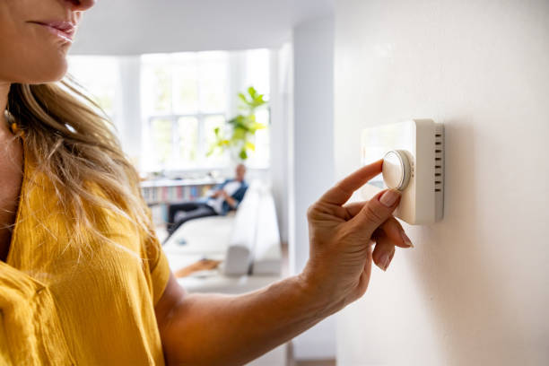 Best Local HVAC Companies  in Mamou, LA